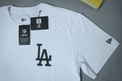NewEra Big Pasley Logo