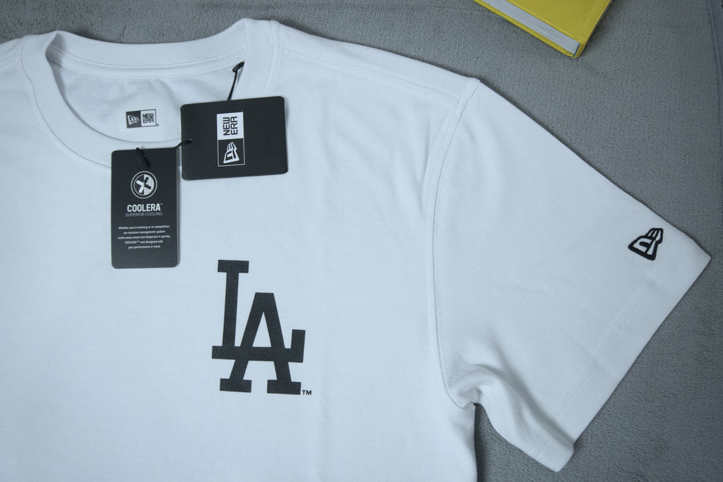 NewEra Big Pasley Logo