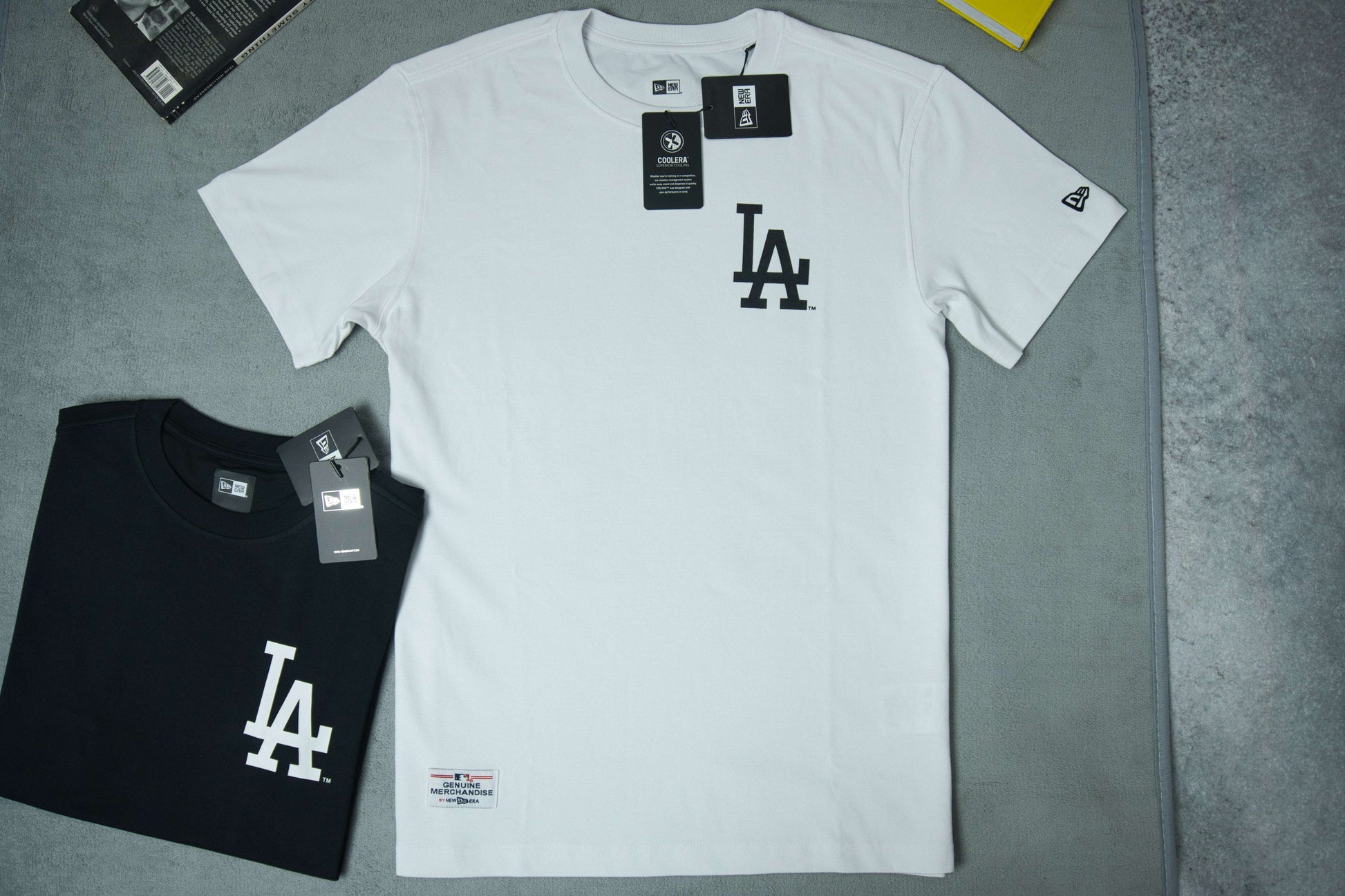 NewEra Big Pasley Logo