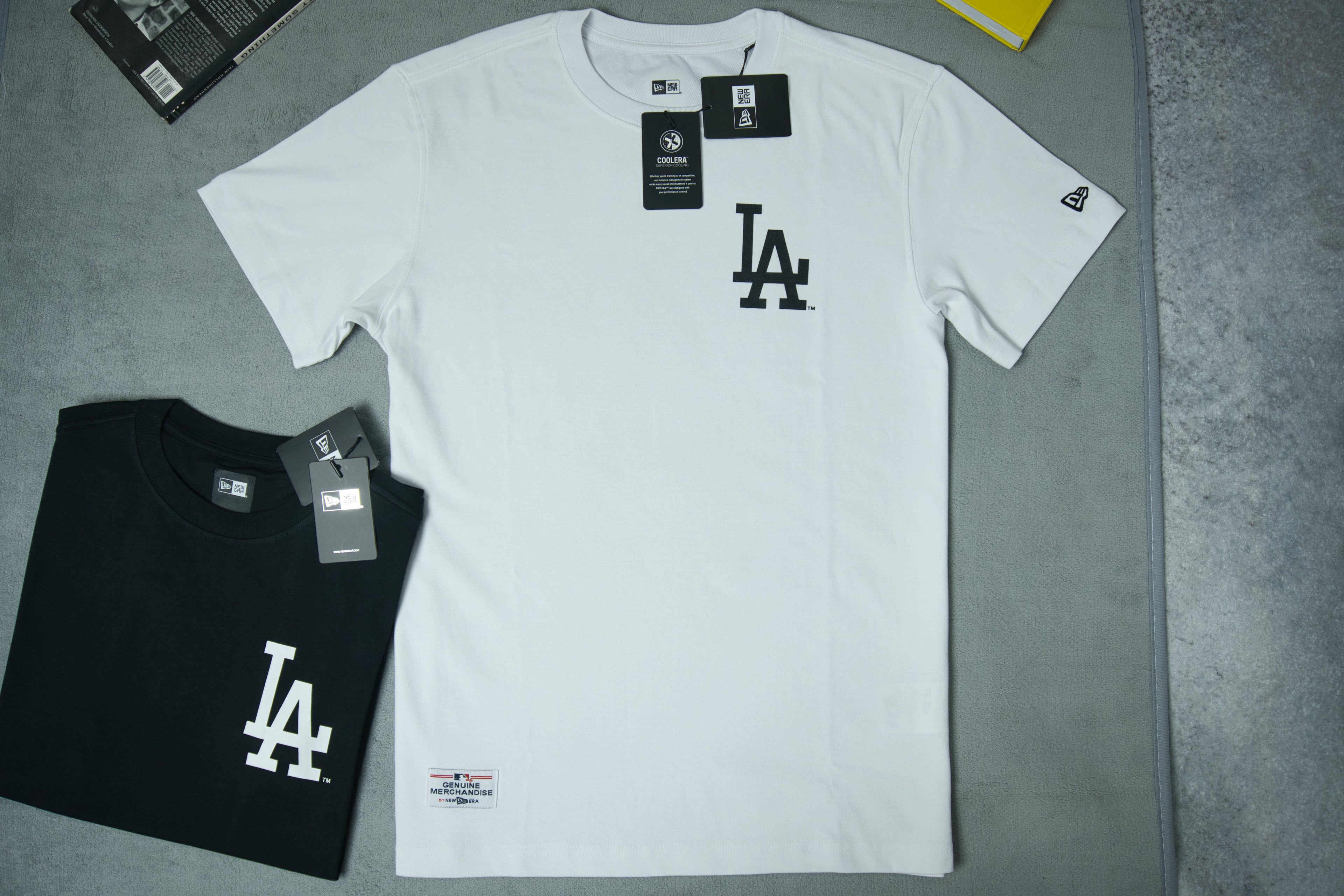 NewEra Big Pasley Logo