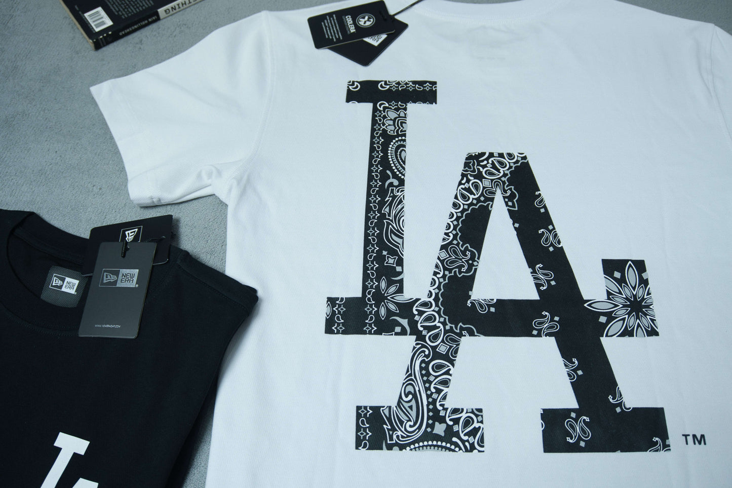 NewEra Big Pasley Logo