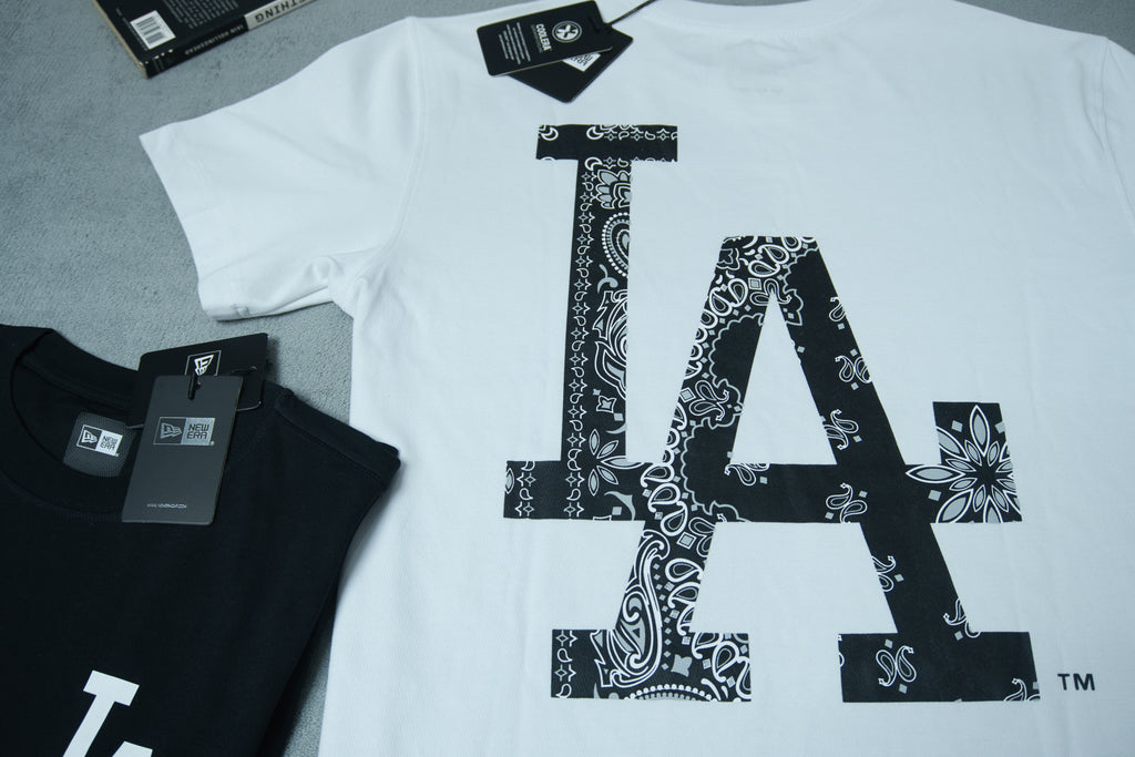 NewEra Big Pasley Logo