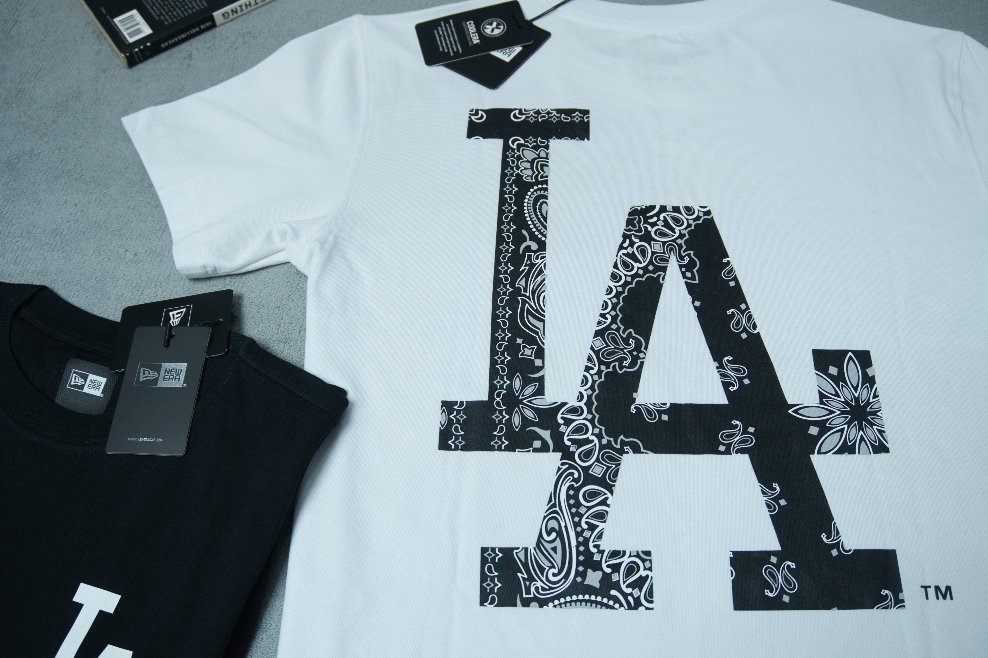 NewEra Big Pasley Logo