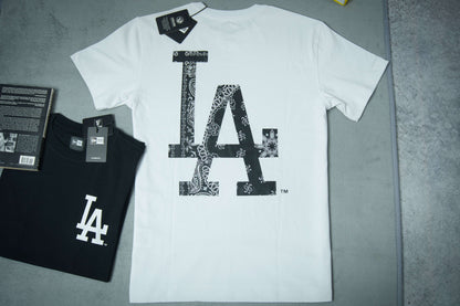 NewEra Big Pasley Logo