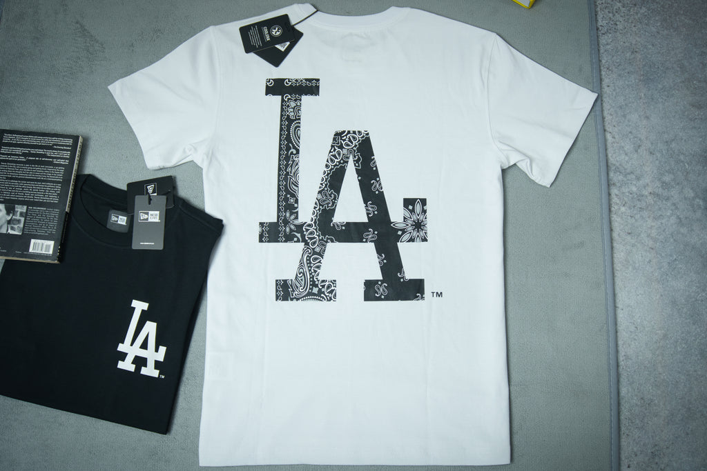 NewEra Big Pasley Logo