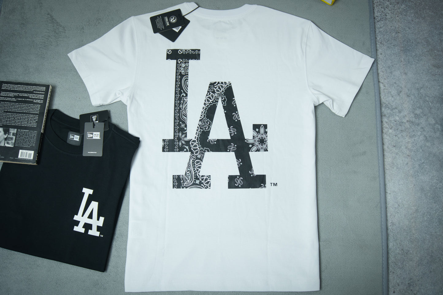 NewEra Big Pasley Logo