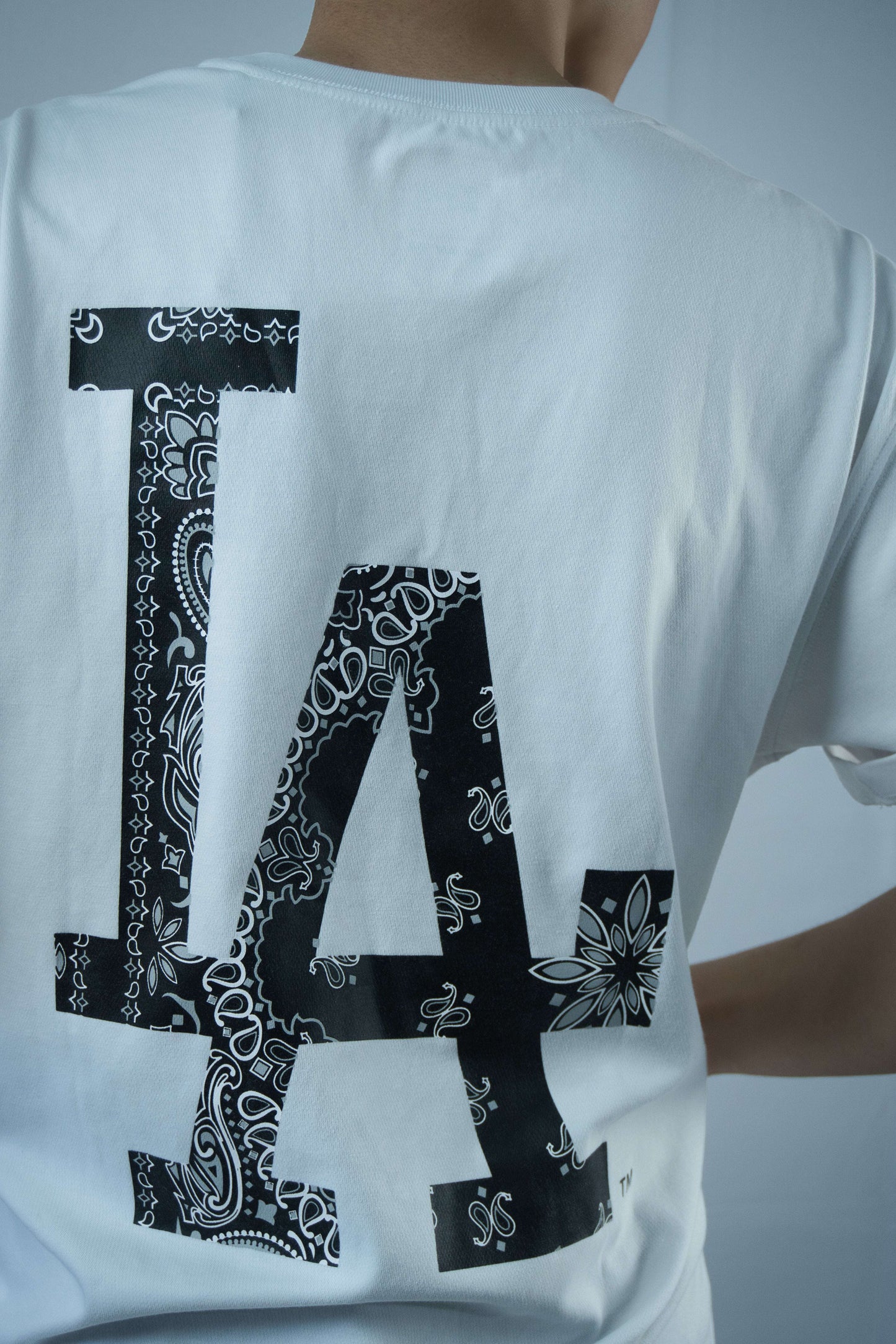 NewEra Big Pasley Logo