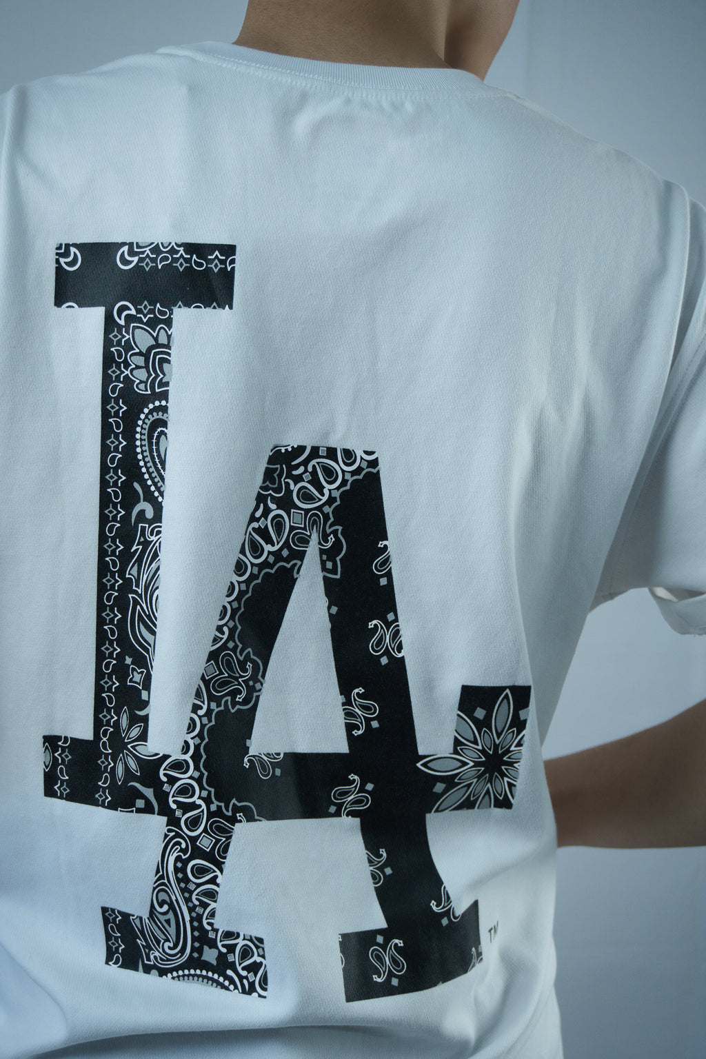 NewEra Big Pasley Logo