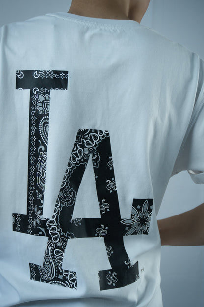NewEra Big Pasley Logo