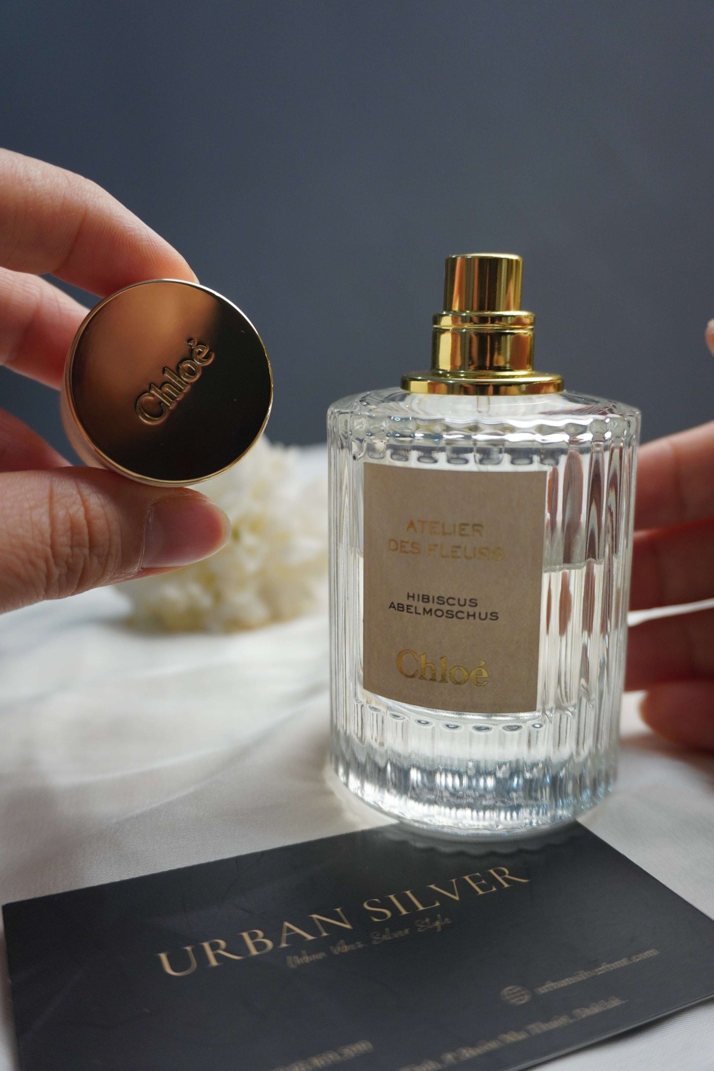 Chloé Atelier Des Fleurs Hibiscus Abelmoschus
