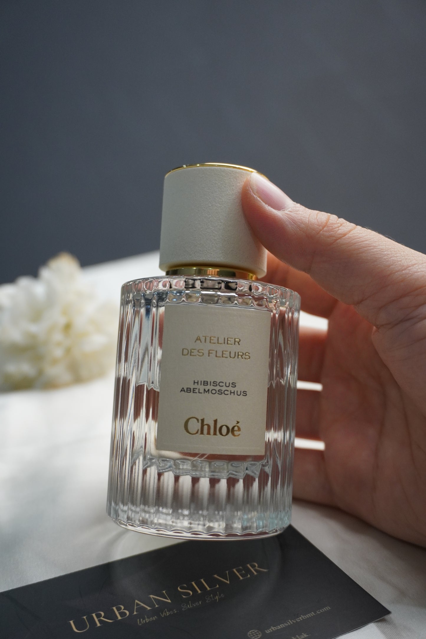 Chloé Atelier Des Fleurs Hibiscus Abelmoschus