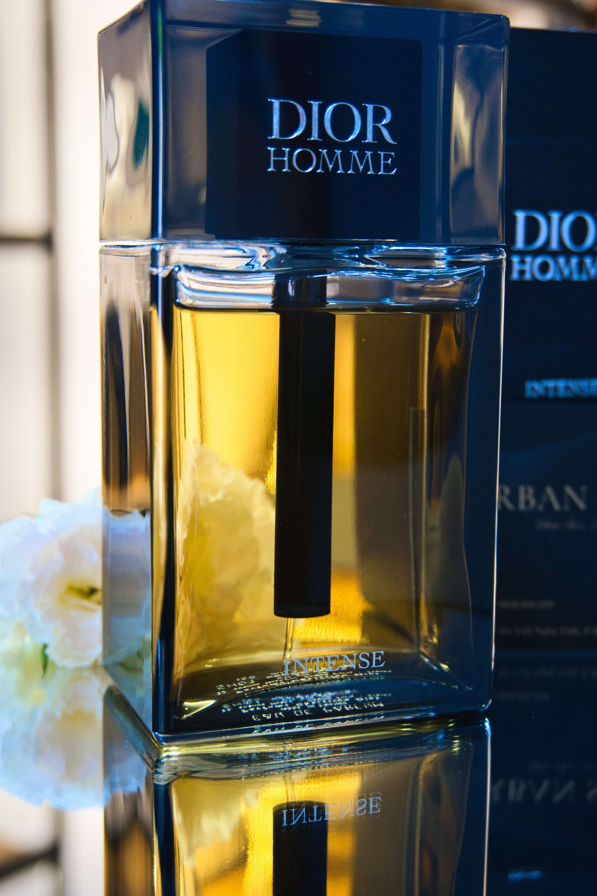 Dior Homme Intense 2025